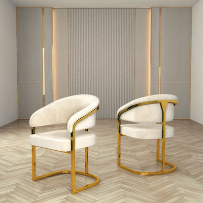 comprare Appartamento Sedia da pranzo di lusso con schienale senza braccio online manufacture